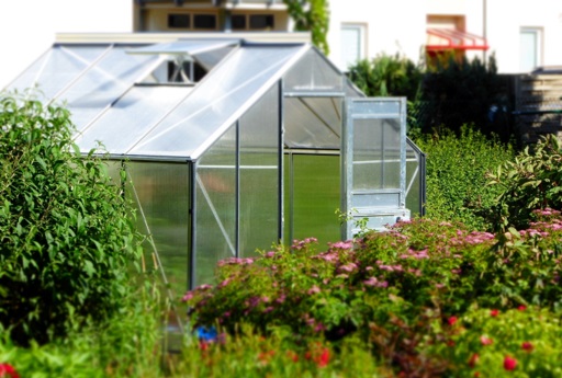 Greenhouse with doors and vents open